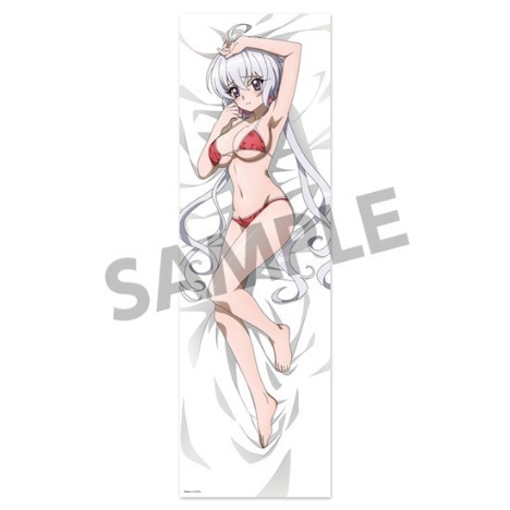 HS限定】戦姫絶唱シンフォギアXV 抱き枕カバー 雪音クリス｜ホビーの