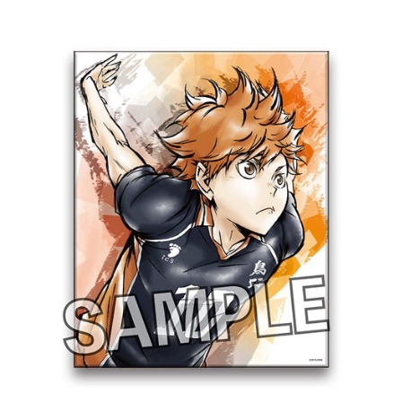 ハイキュー 激闘 キャンバスアート 日向翔陽 ホビーの総合通販サイトならホビーストック