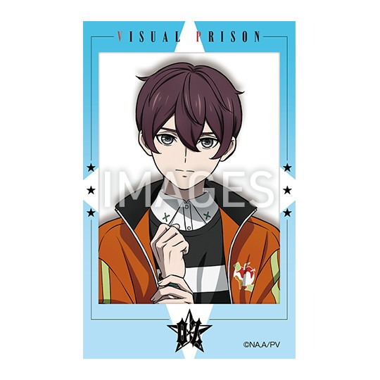 【SALE】 TVアニメ ヴィジュアルプリズン チェキ風ブロマイドカード 10個 カード・カードストック