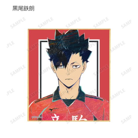 ハイキュー To The Top トレーディング Ani Art 第6弾 ミニ色紙 12個入り1box ホビーの総合通販サイトならホビーストック ハイキュー To The Top トレーディング Ani Art 第6弾 ミニ色紙 12個入り1box ホビーの総合通販サイトならホビーストック