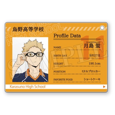 ハイキュー プロフィールカードキーホルダー 12個入り1box ホビーの総合通販サイトならホビーストック