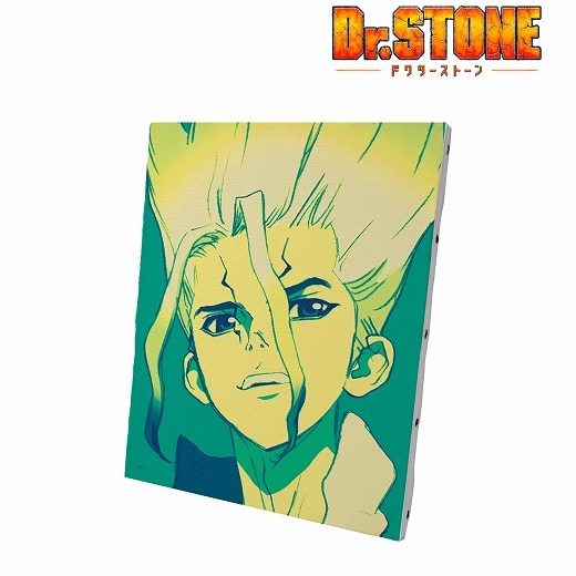   Dr.STONE 石神千空 paleful キャンバスボード アニメ・キャラクターグッズ新作情報・予約開始速報