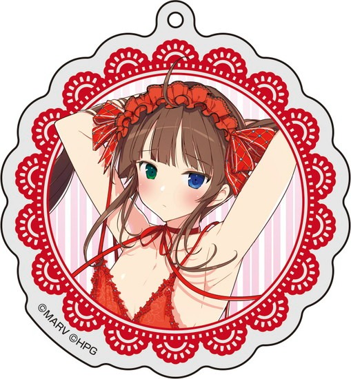  【予約特別価格】 【再販】閃乱カグラ 描き下ろし アニメ・キャラクターグッズ新作情報・予約開始速報