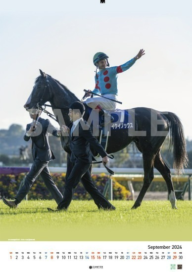 Canter Collection イクイノックス カレンダー2024｜ホビーの総合通販