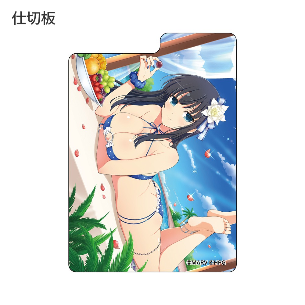 【新品未開封】閃乱カグラ スリーブ デッキケース まとめ売り シノビマスター 閃乱カグラ NEW LINK]デッキケース（鴇／盛
