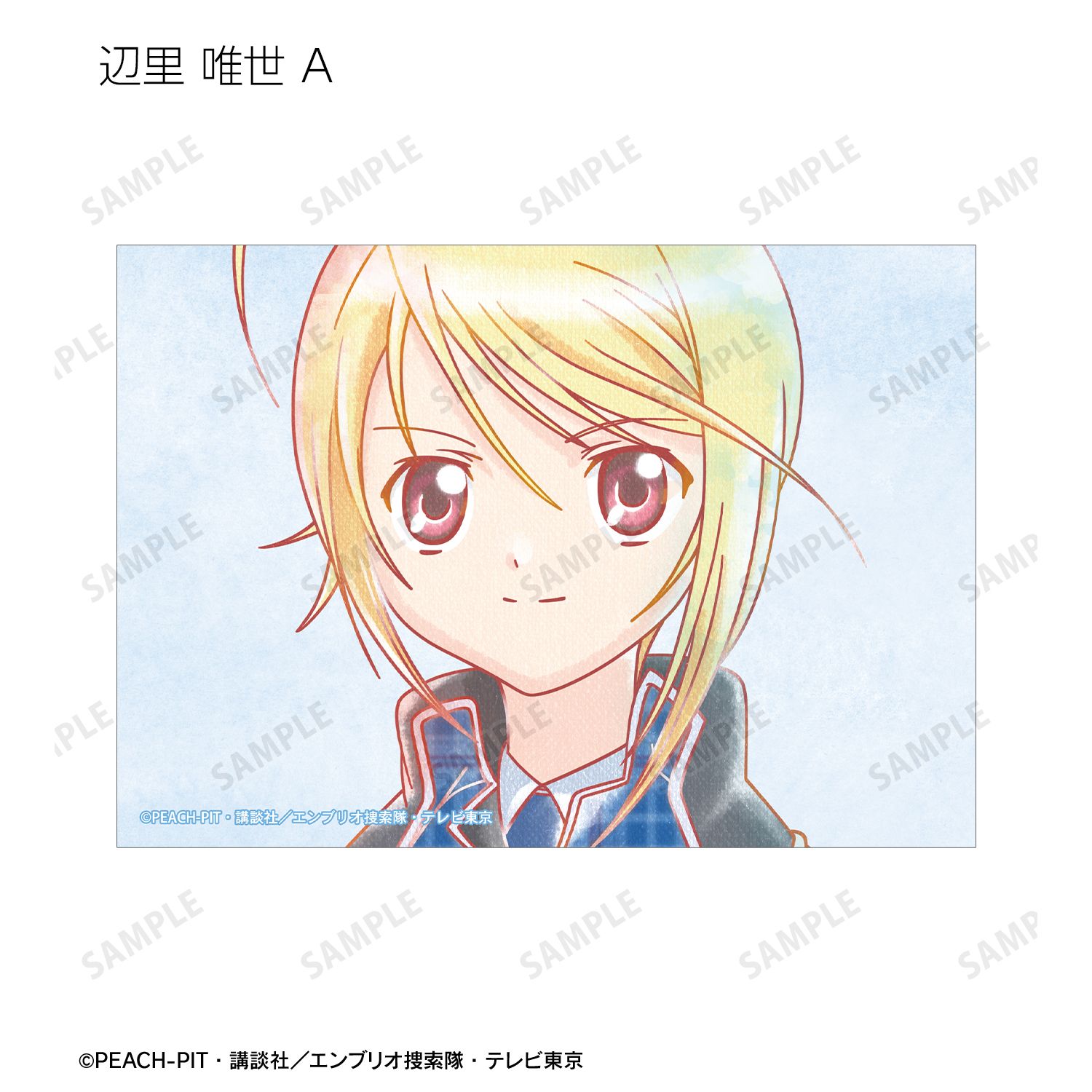 TVアニメ しゅごキャラ! 辺里 唯世 Ani-Art aqua label ブロマイド2枚セット|ホビーの総合通販サイト ホビーストック