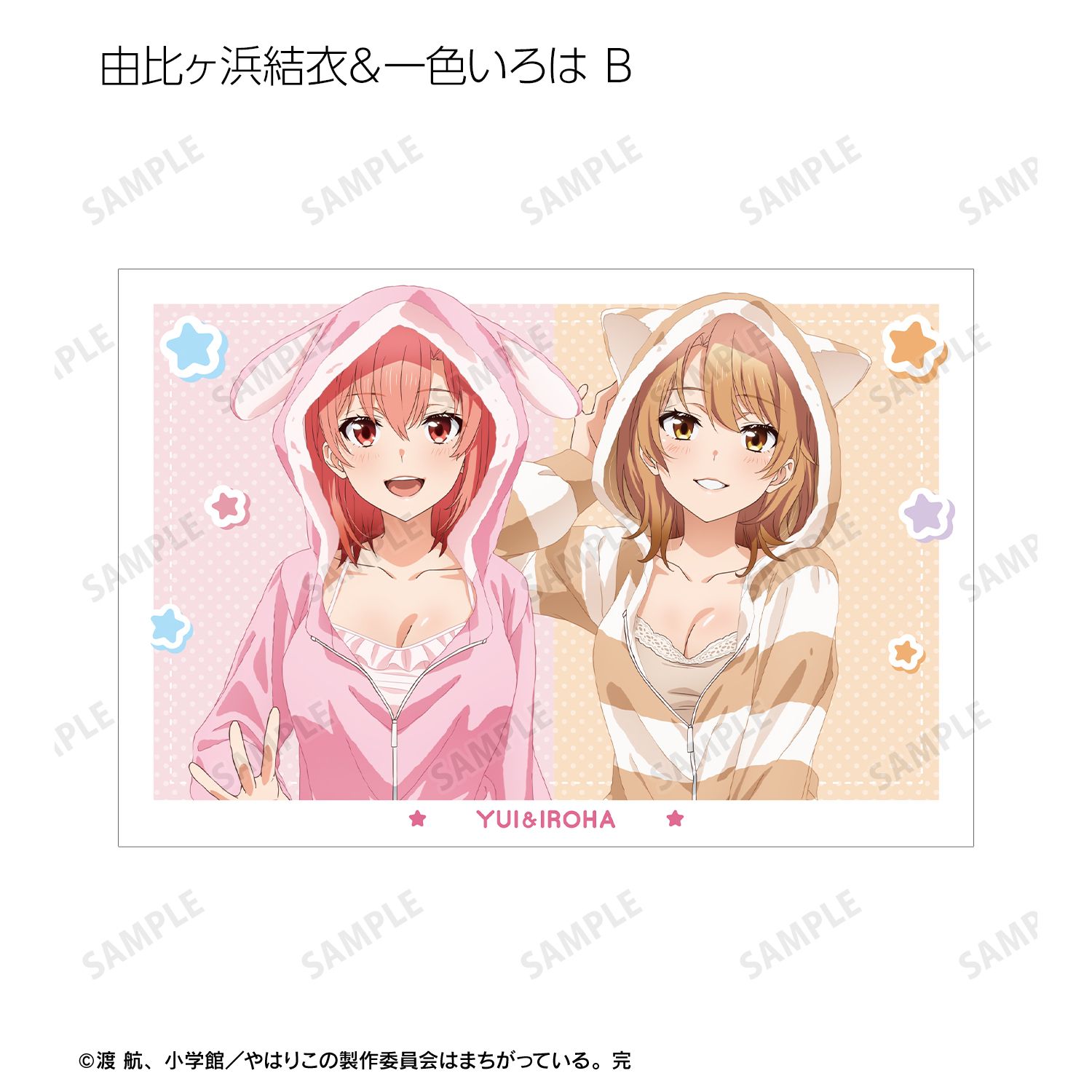 やはり俺の青春ラブコメはまちがっている。完 描き下ろし アニマル