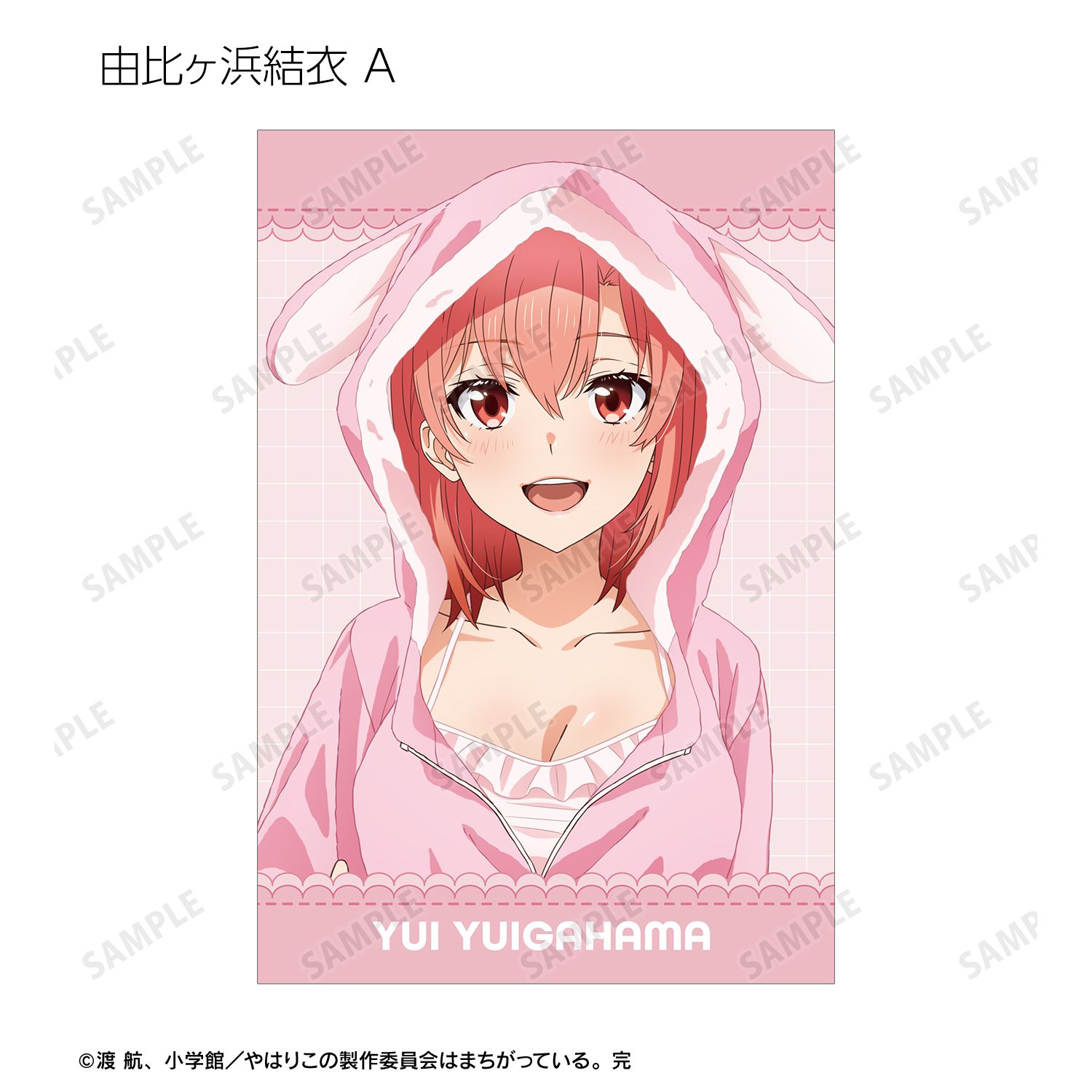 やはり俺の青春ラブコメはまちがっている。完 描き下ろし アニマル 