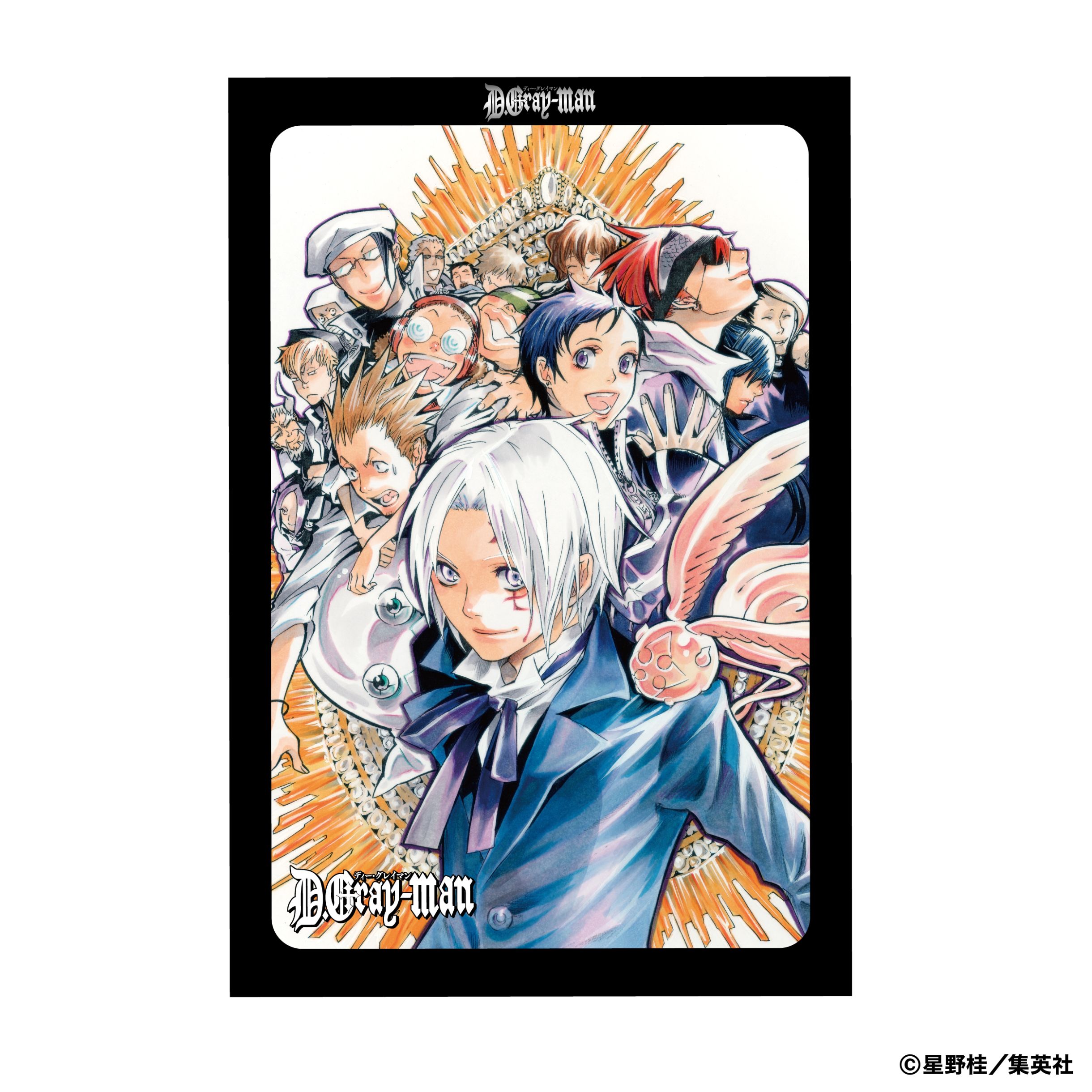 新品　未開封　カード　BOX D.Gray-man 第9弾 新品 未開封 カード BOX D.Gray-man 第9弾 【公式通販】