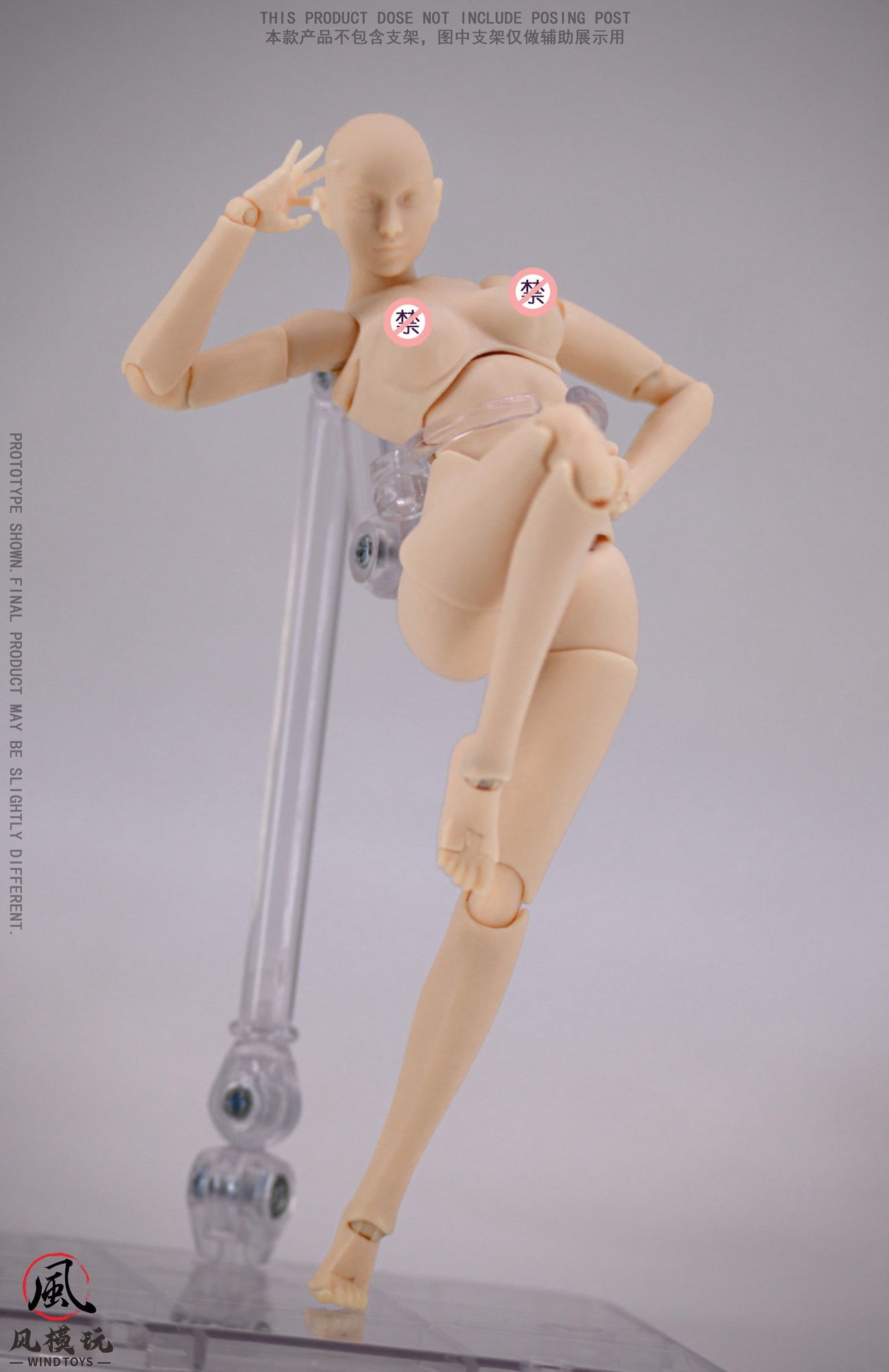 早い者勝ち！1/6フィギュア素体2体 HOTTOYSスタンド付き Amazon | ホットトイズ・トゥルータイプ 1/6スケールフィギュア素体