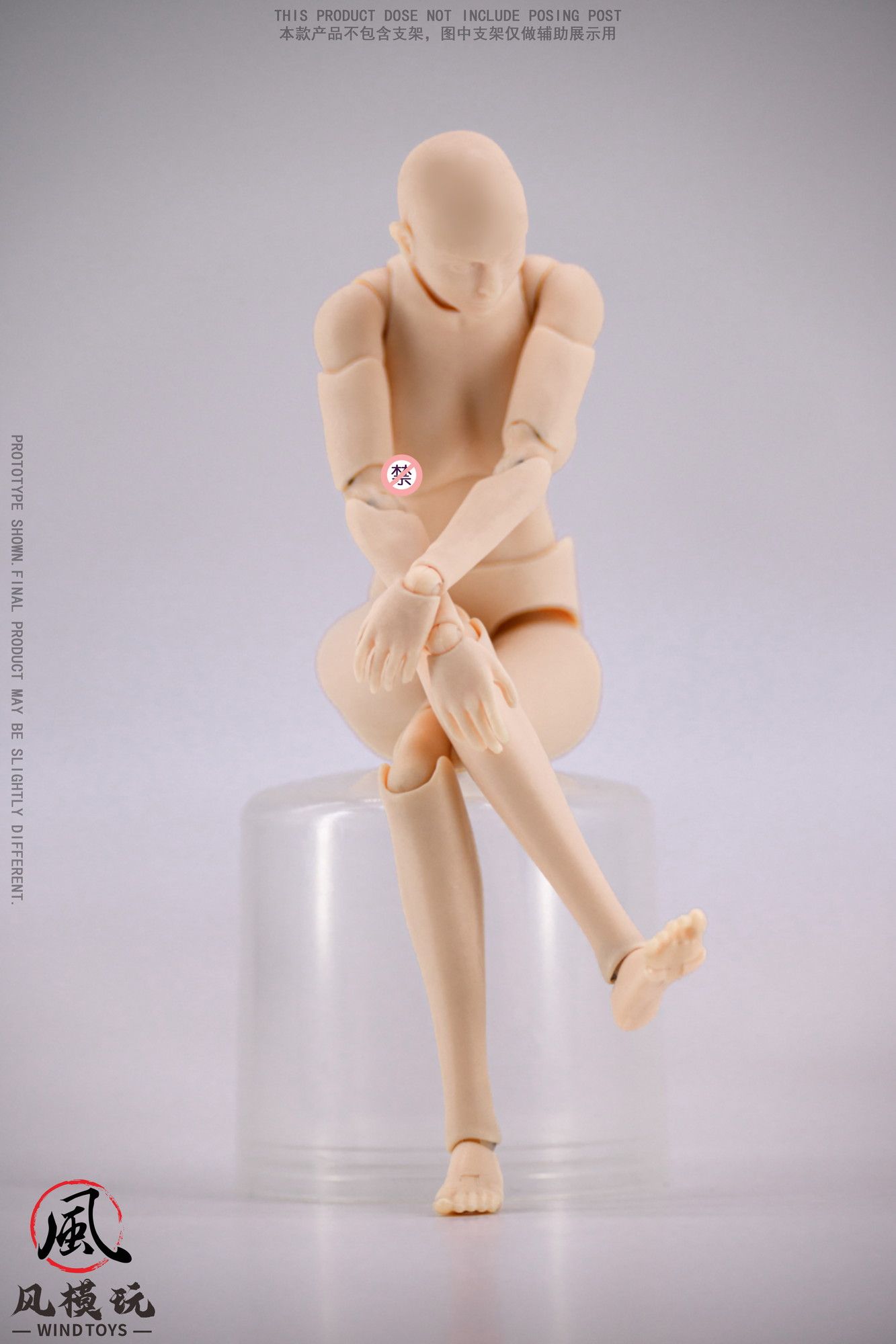 WIND TOYS 1/12スケール 可動フィギュア スーパーモデル女性素体