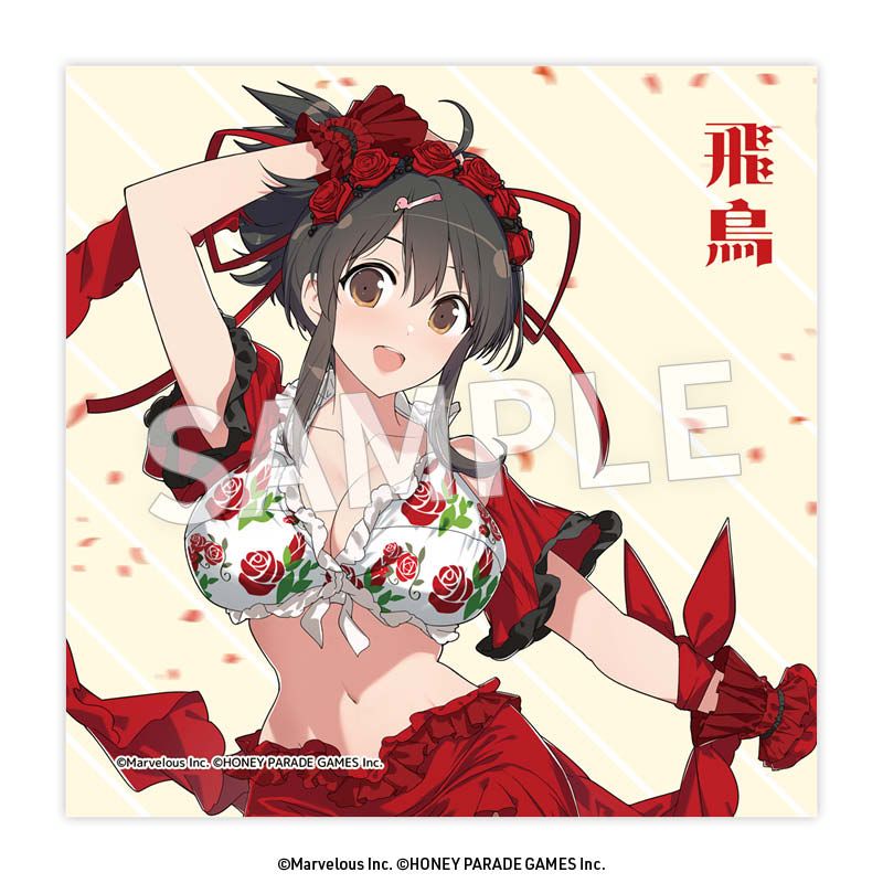 予約特別価格】閃乱カグラ クリーナークロス 飛鳥 フラメンコ風水着