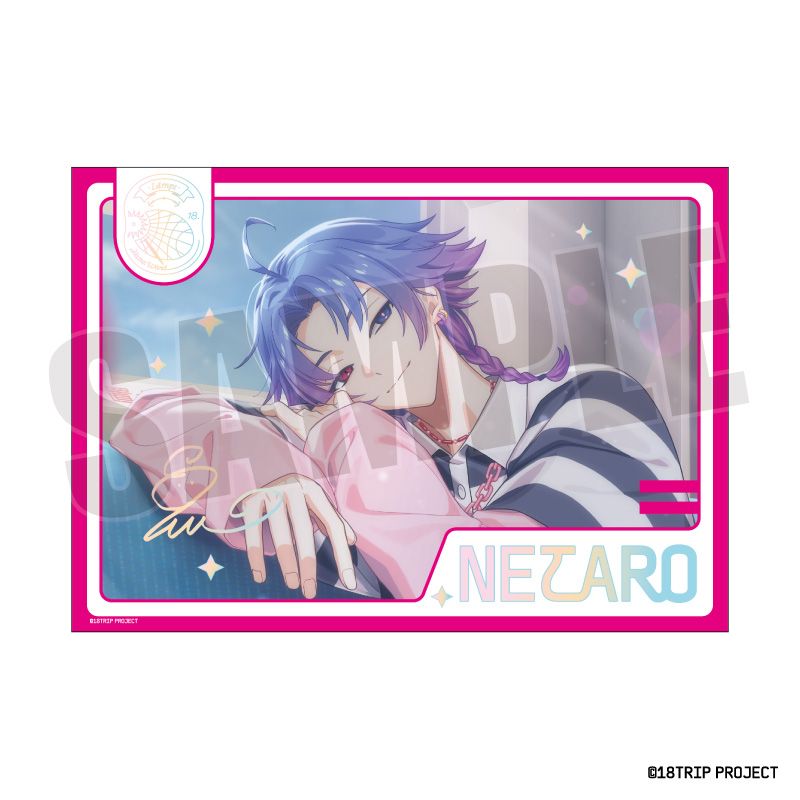 18TRIP ステラフォトsparkle Vol.1 20.夜半 子タろ｜ホビーの総合通販