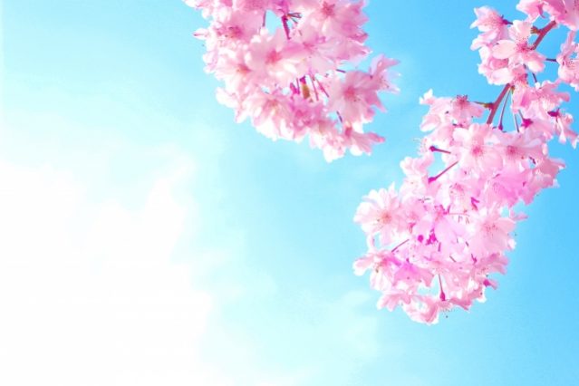 0a9a96b0cb4826d62ff99021d4d88046_s