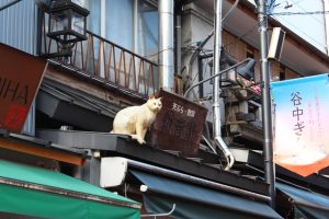 谷根千にはレトロな光景がいっぱい