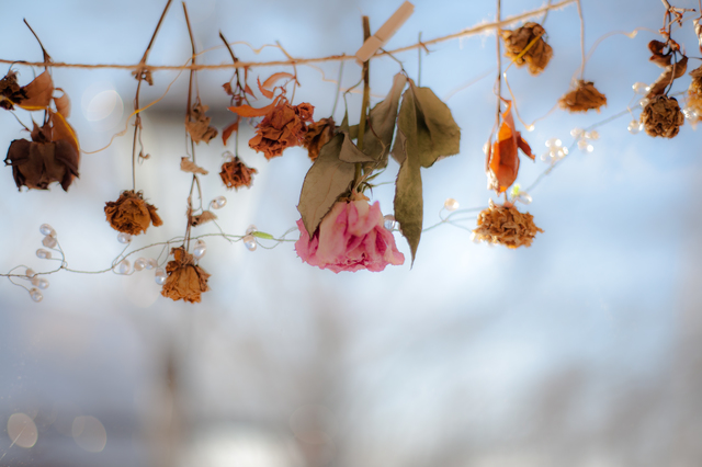 サンルーム付き物件の注意点