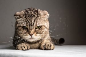 悪質なリフォーム会社には注意を!