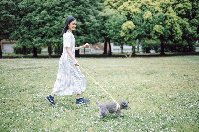 緑豊かな公園