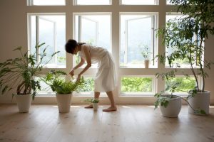 窓は開けられる?