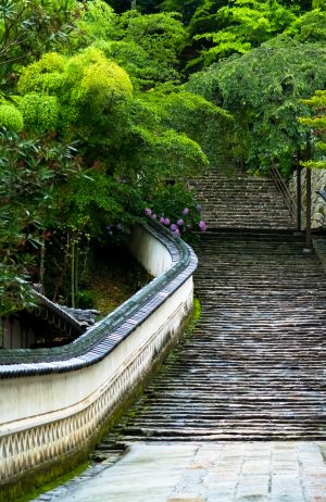 鎌倉 長谷寺