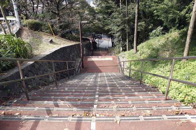 聖跡桜ヶ丘にある階段