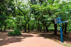 近くに自然があると<br>充実した休日を過ごせるかも