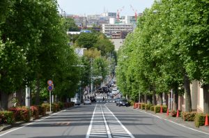 あざみ野駅前通り