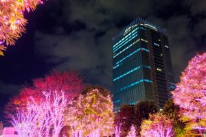 pixta_27034227_M