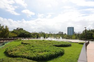 リビオレゾン東陽町ステーションプレミアの周辺環境(木場公園)