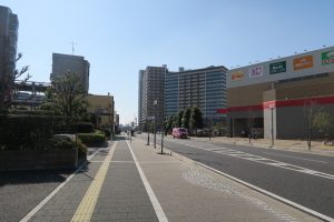 津田沼ザ・タワーの周辺環境(奏の杜)