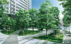 津田沼ザ・タワーの植栽(共用スペース)