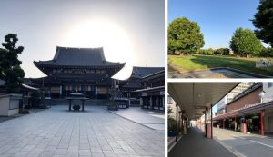 ベルレジェンド川崎MIYABIテラスの周辺環境2