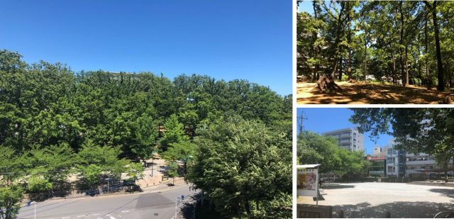 リビオレゾン南浦和の周辺環境(公園)