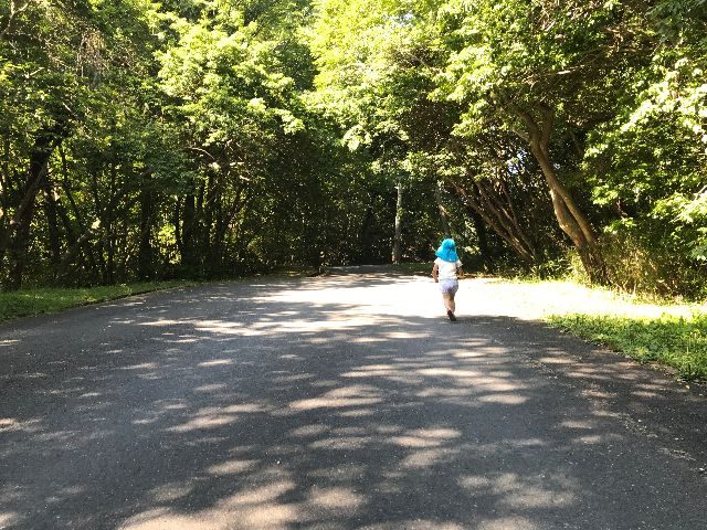 幼稚園への通学路3