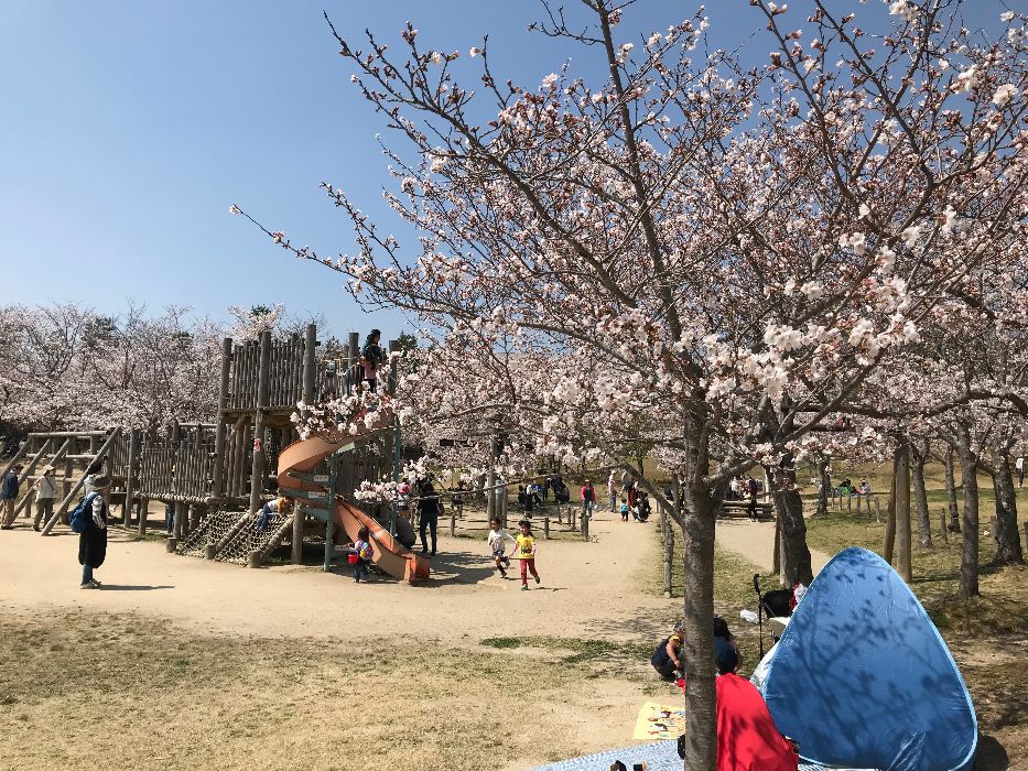 筆者の家の近所にある近所の公園