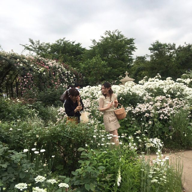 インスタ映えする人気スポット