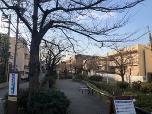 ウエリス下北沢の周辺環境(緑道)