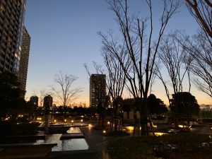 ⑤ブリリアマーレ有明の夕方