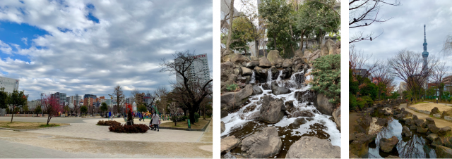⑤リビオ錦糸町の自然環境