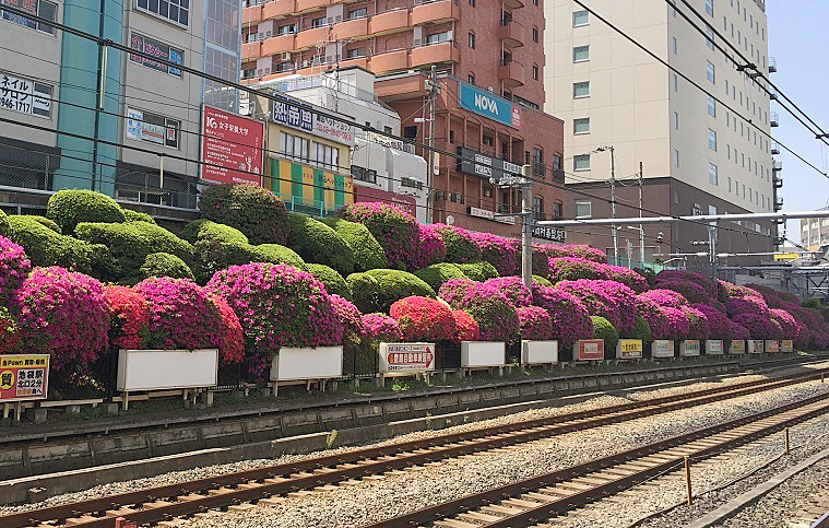 ホームズ 山手線の魅力を探る 駒込駅 2 歴史と伝統が町の様々な表情を生む 住まいのお役立ち情報