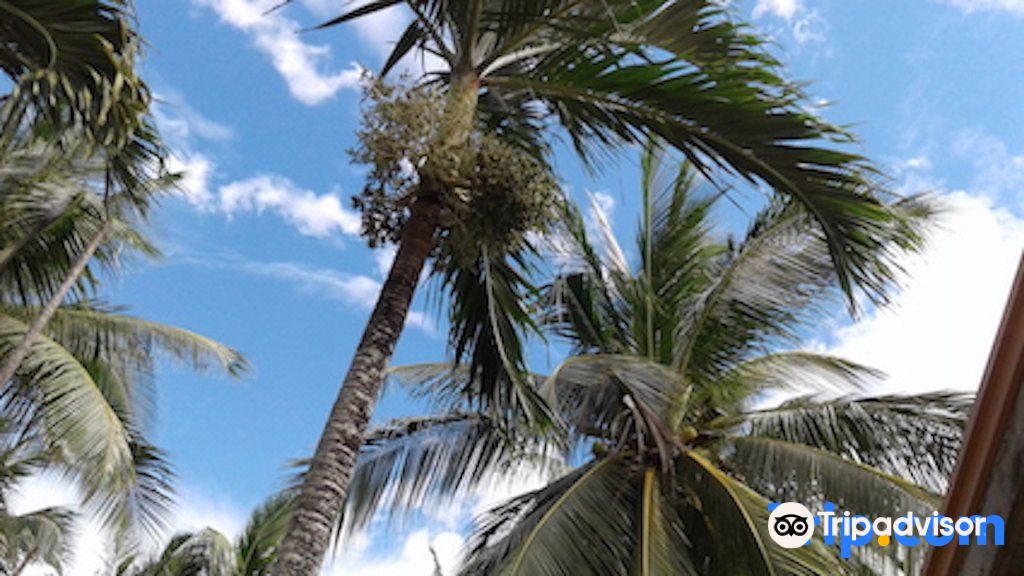 Herbs Guest House and Restaurant Near the Sea【 2023年最新の料金比較・口コミ・宿泊予約