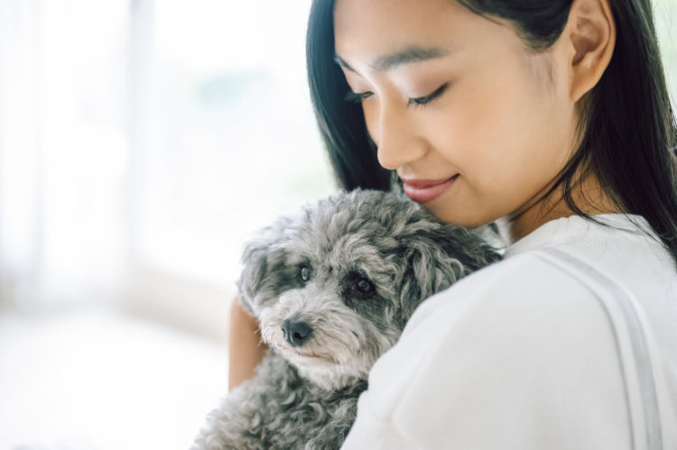 愛犬と飼い主