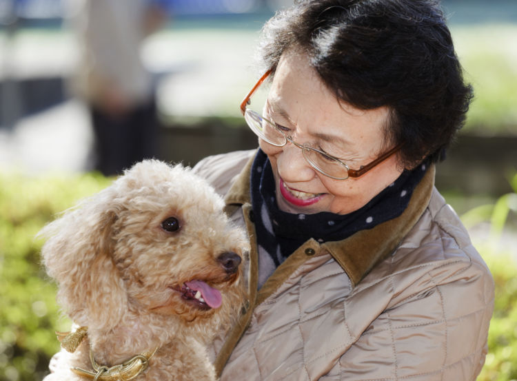 老犬ホームが生まれた背景①「人も犬も高齢化・長寿化」