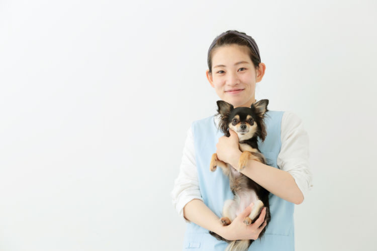 【老犬ホーム】料金・費用