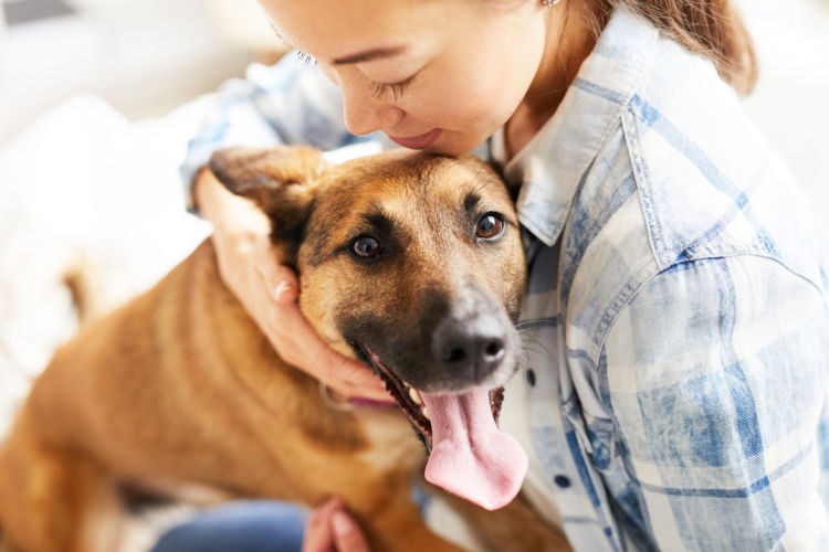 飼い主のニーズによって生まれた【老犬ホーム】