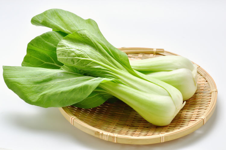 チンゲン菜