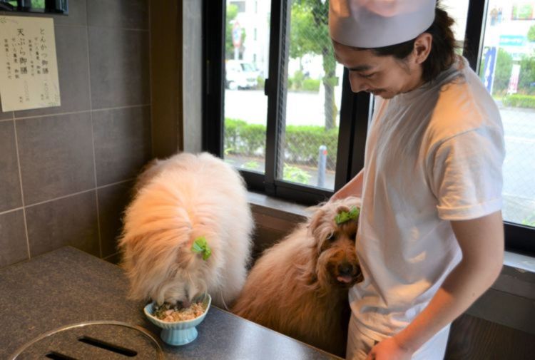 専用個室でいただく愛犬用「ワンコそば」