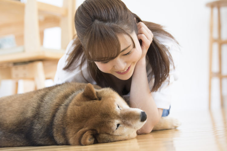 老犬の夜鳴き「注意点」②【叱らない】