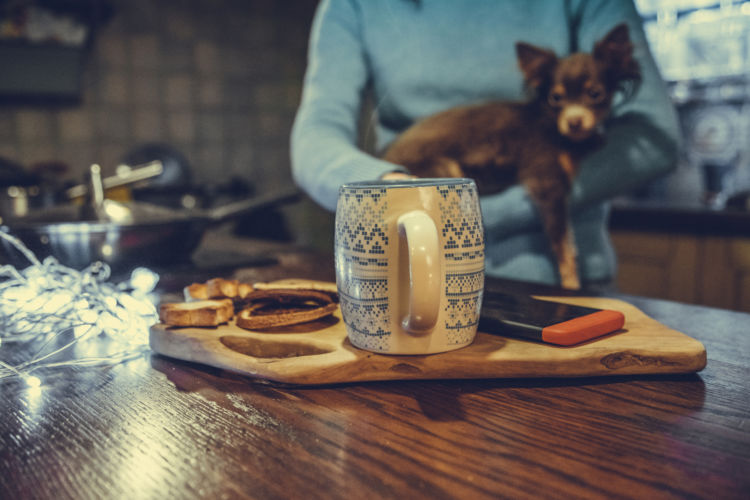 犬の「紅茶の誤飲」まとめ