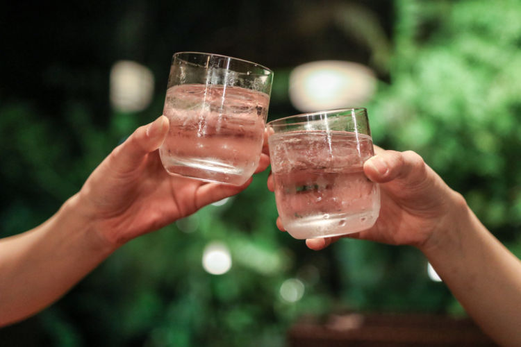 犬の「焼酎」の誤飲、注意点は?